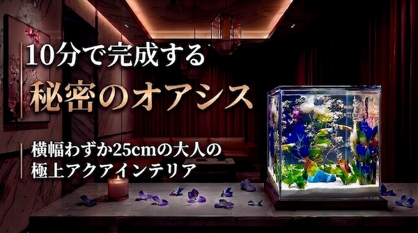 10分で完成する秘密のオアシス